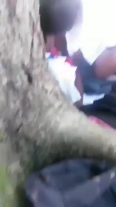 High School Students Enjoy Public Sex In School Uniform After Class